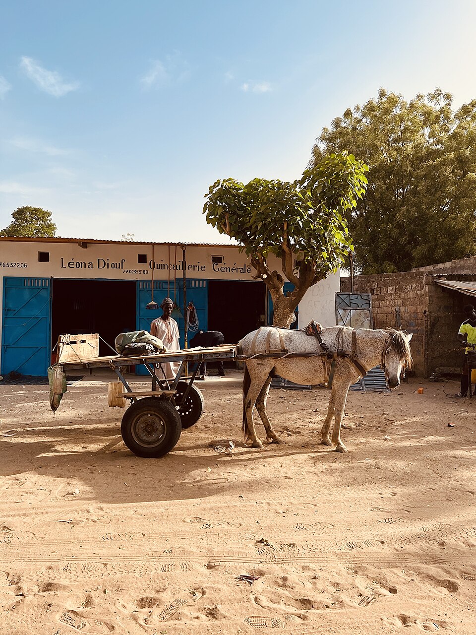 Façade d’une quincaillerie de village au Sénégal, portes bleues, charrette et cheval devant la boutique.